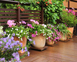 Décoration florale
